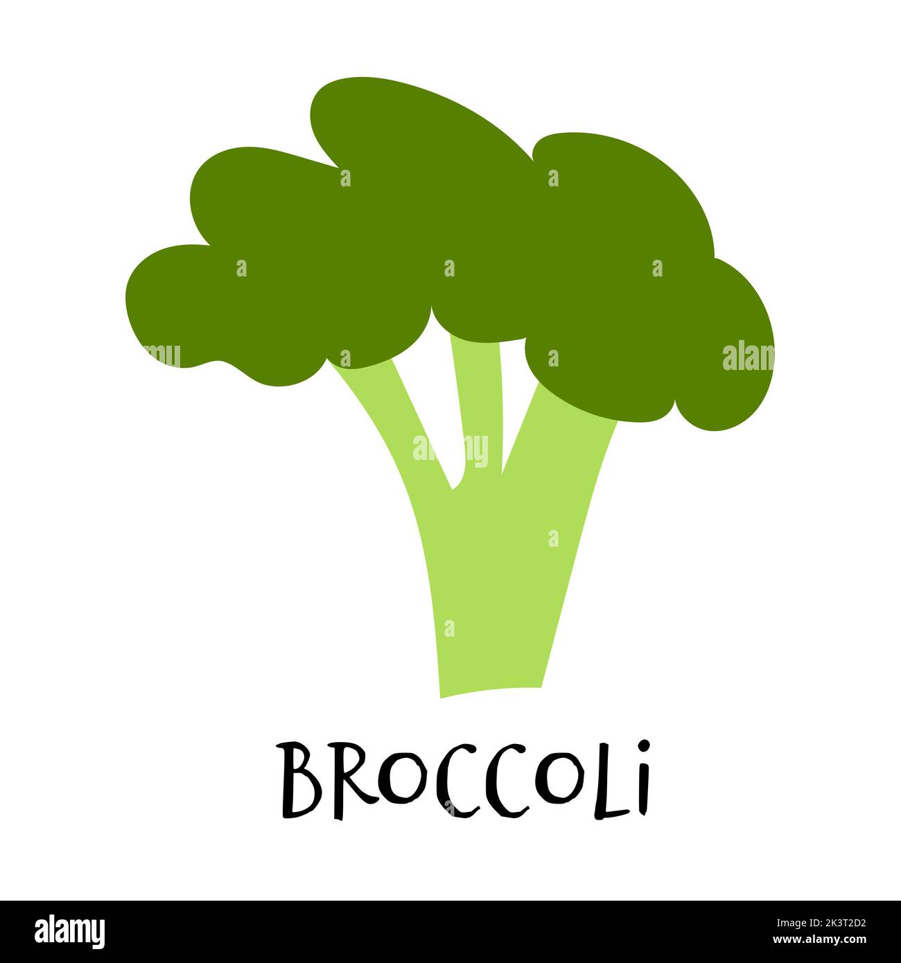 Vector illustration of broccoli in hand drawn flat style. Doodle fresh