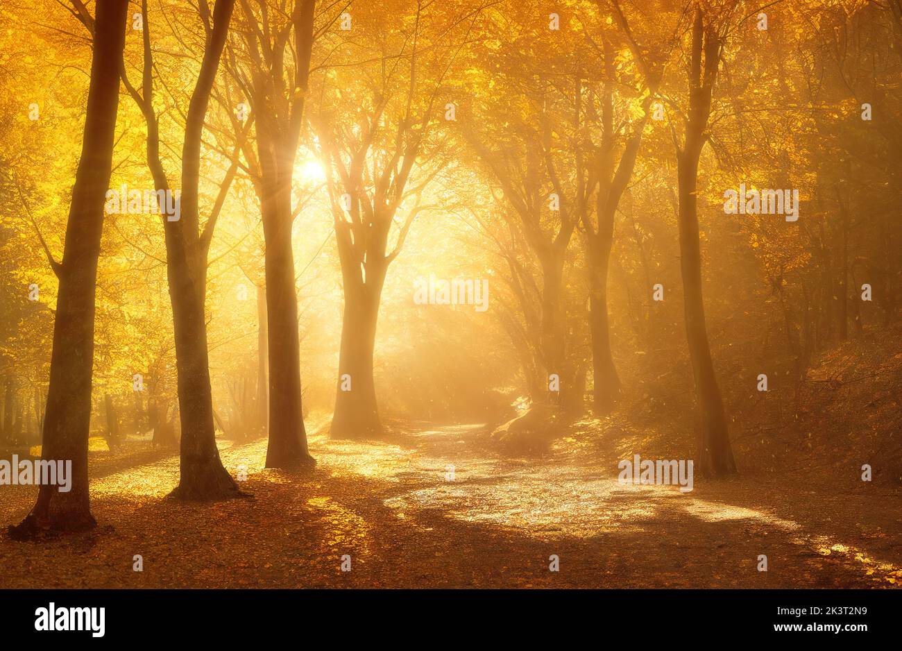 Warm mist in autumn forest, tree silhuettes, shining sun through golden tree branches. Digital 3D illustration Stock Photo