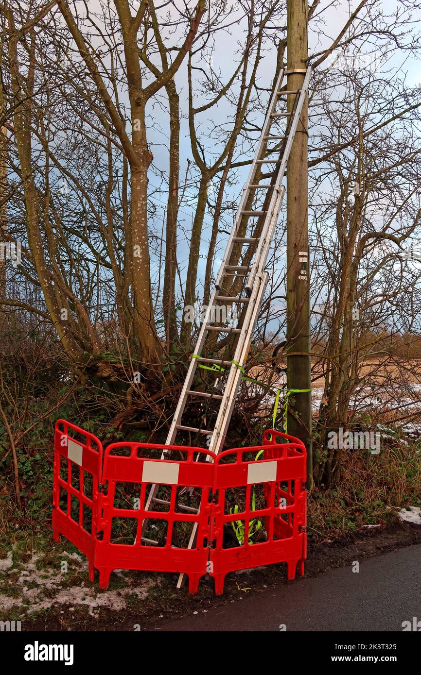 Telephone engineer ladder, left up a telephone pole, Health safety issue, lone working, Appleton, Warrington, Cheshire, England, UK, WA4 5NJ Stock Photo