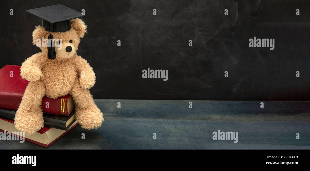 Student education concept. Teddy bear with graduation cap and books on school desk. Blackboard background. Copy space Stock Photo