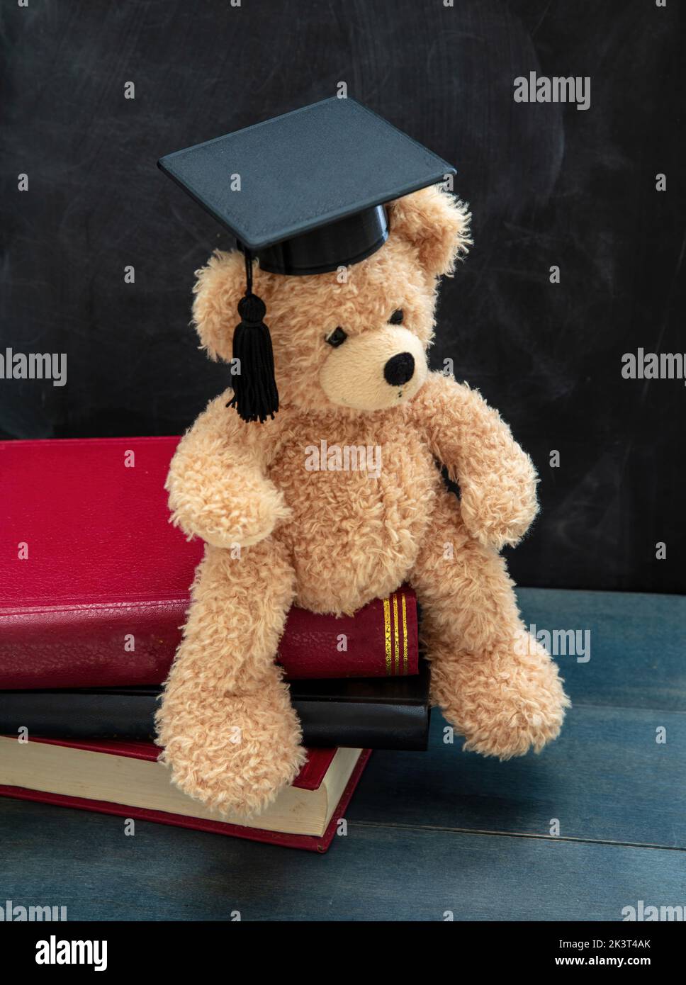 Student education concept. Teddy bear with graduation cap and books on school desk. Blackboard background. Stock Photo