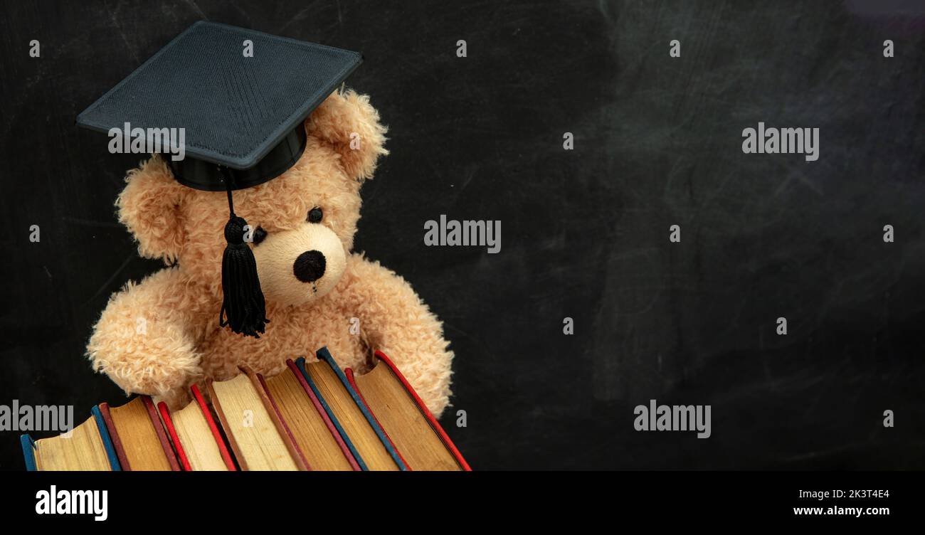 Student education concept. Teddy bear with graduation cap and school books. Blackboard background. Copy space Stock Photo