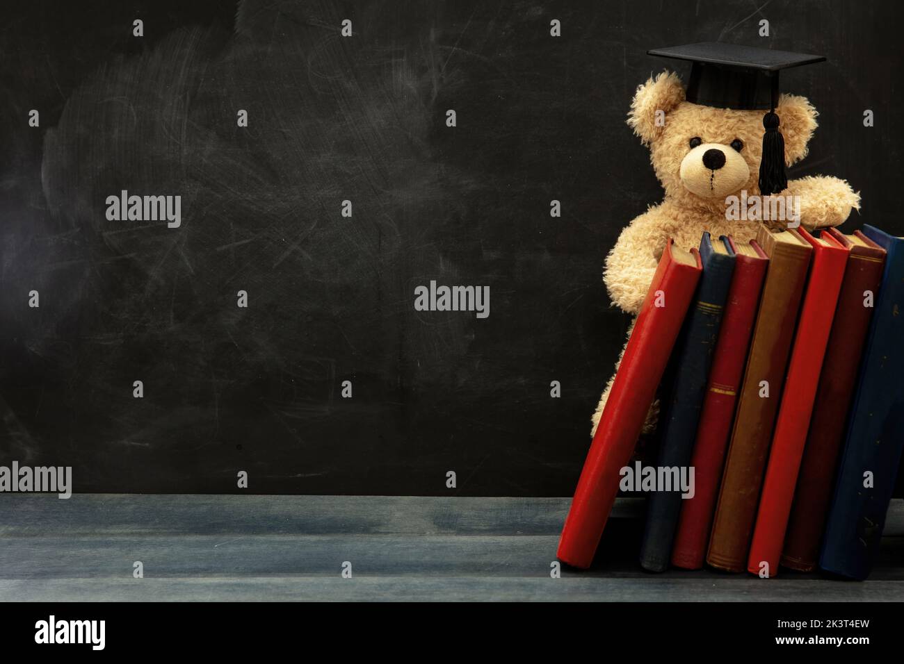 Student education concept. Teddy bear with graduation cap and school books on wooden desk. Blackboard background. Copy space Stock Photo