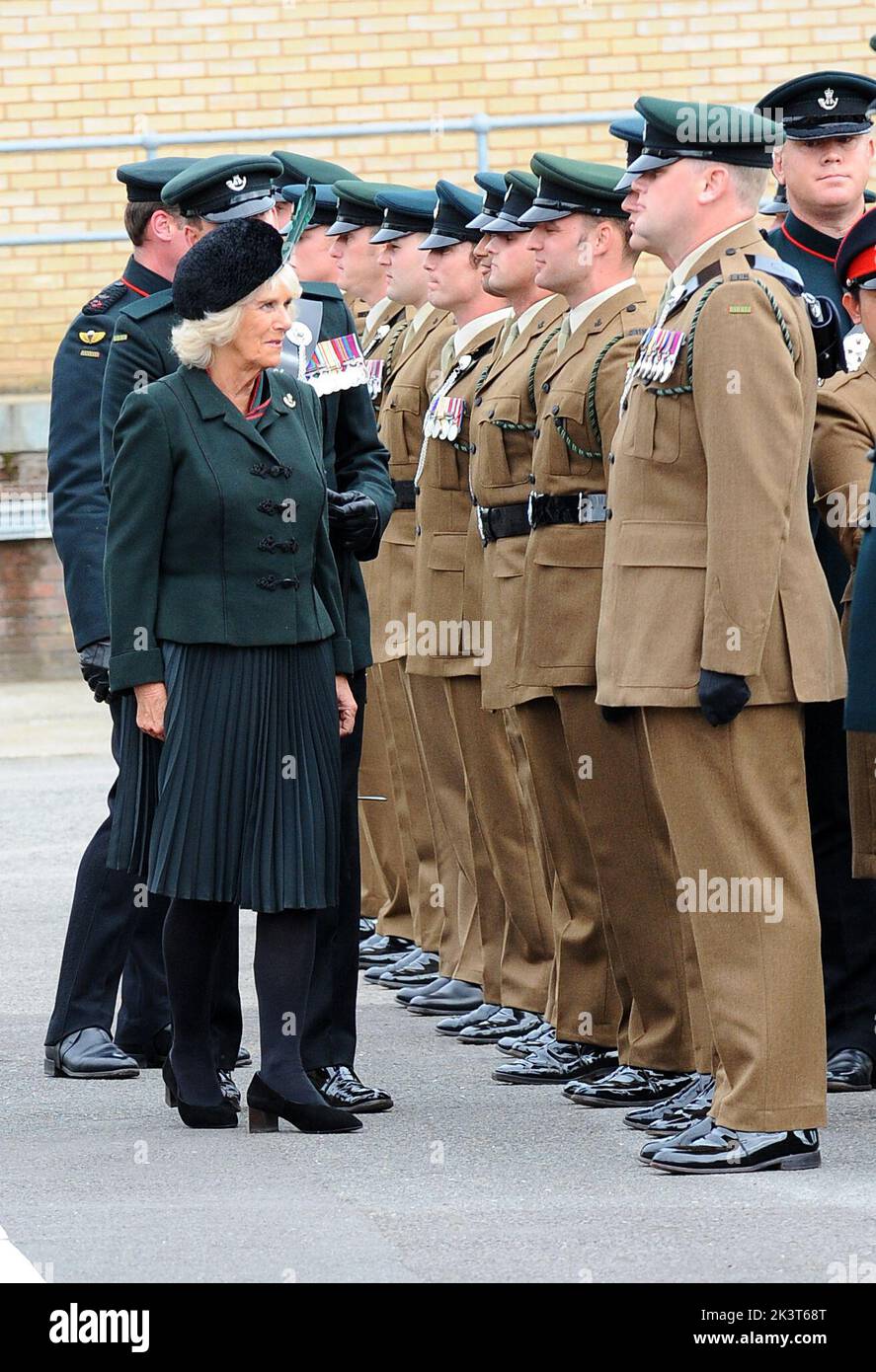 QUEEN CONSORT Stock Photo