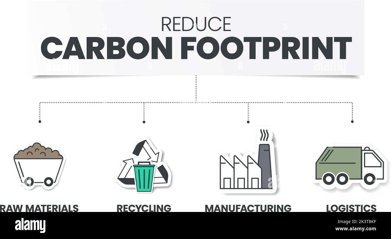 Reduce Carbon Footprint infographic has 4 steps to analyse such as raw