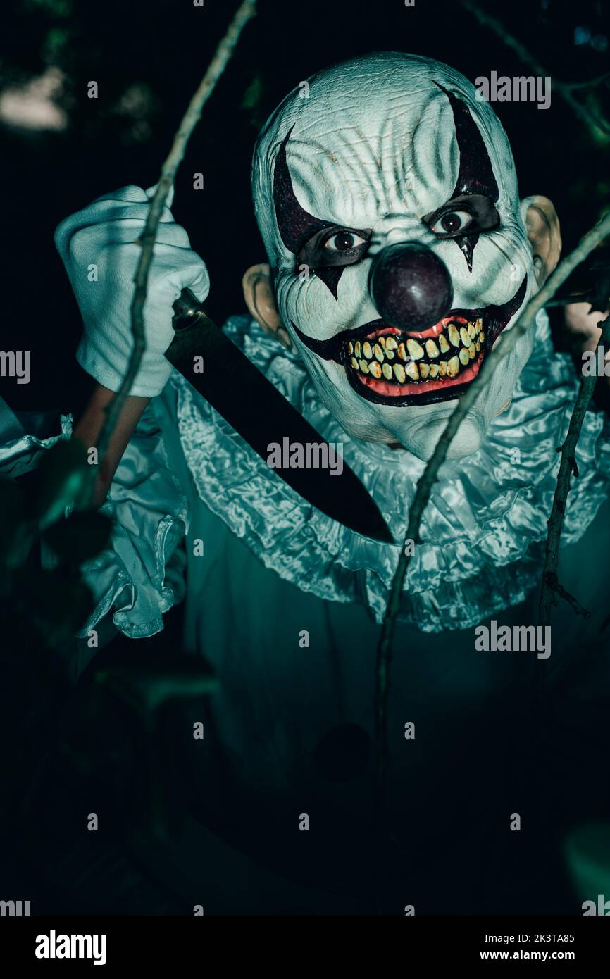 closeup of a creepy evil clown, wearing a gray costume with a white ruff, in the woods at night, meancing the observer with a big rusty knife and a fr Stock Photo