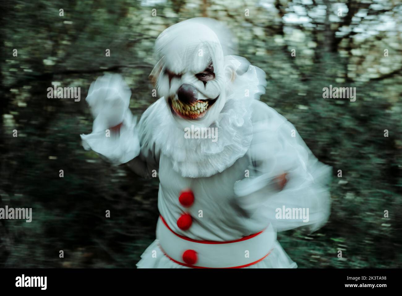 closeup of a blurry creepy evil clown, wearing a gray costume with ruffles and red pom-poms, and a white ruff, in motion in the woods at dusk, starrin Stock Photo