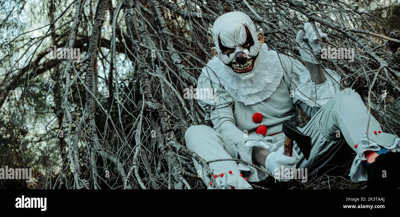 closeup of an evil clown, wearing a gray costume with some ruffles and red pom-poms, with an axe in his hand sitting in the woods at dusk, in a panora Stock Photo