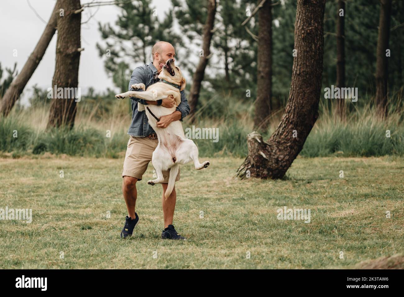 Labrador Man Active man holding adorable Labrador Retriever in arms while laughing ...
