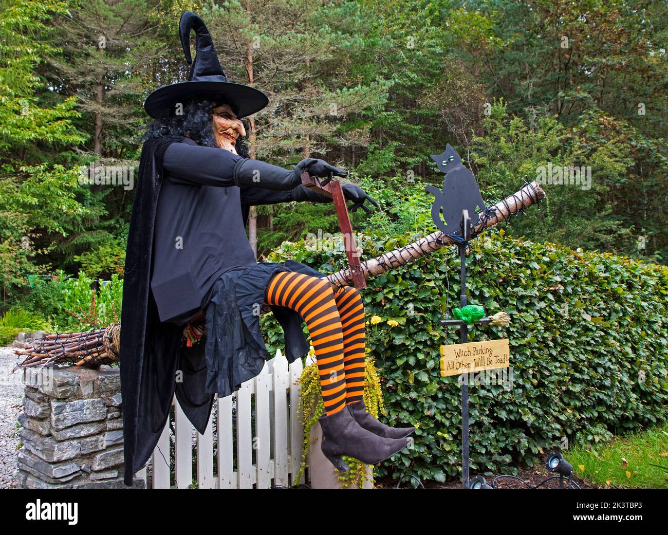 Faskally, Perth and Kinross, Scotland, UK. 28th September 2022.  Spooky Perthshire Witch at East Lodge securing her parking space early as the Enchanted Forest event is due to commence nearby on the 29th September running just outside Pitlochry up until the day before Halloween. Credit: Arch White/alamy live news. Stock Photo