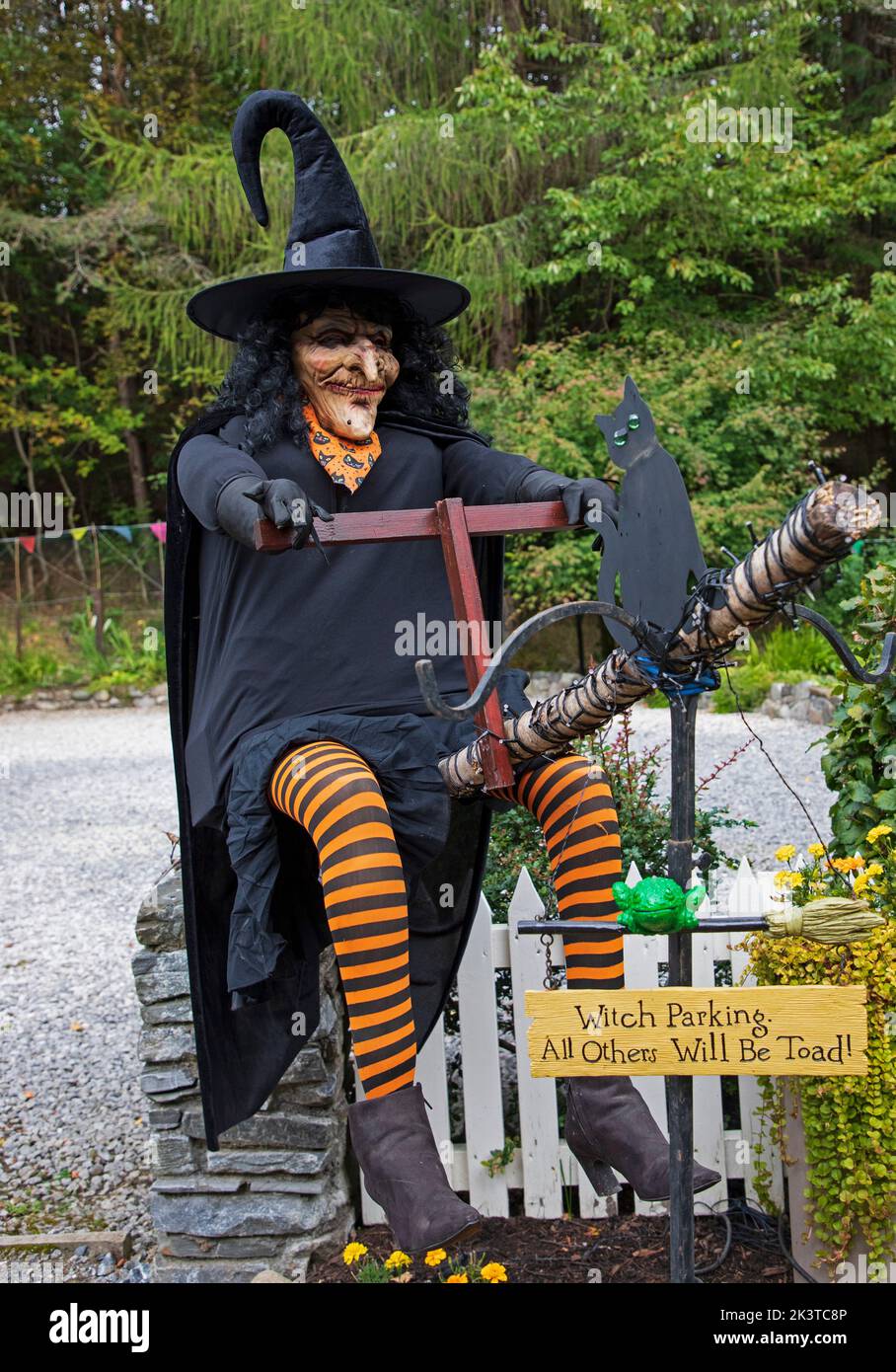 Faskally, Perth and Kinross, Scotland, UK. 28th September 2022.  Spooky Perthshire Witch at East Lodge securing her parking space early as the Enchanted Forest event is due to commence nearby on the 29th September running just outside Pitlochry up until the day before Halloween. Credit: Arch White/alamy live news. Stock Photo