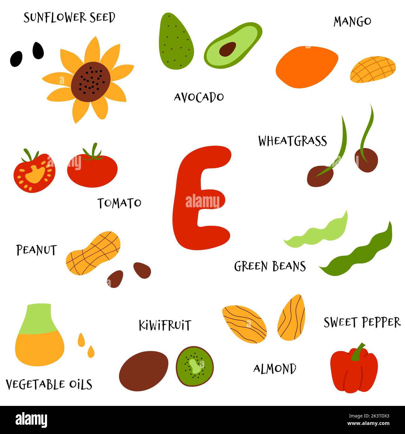 Collection of vector hand draw fruit and veggies rich in tocopherol