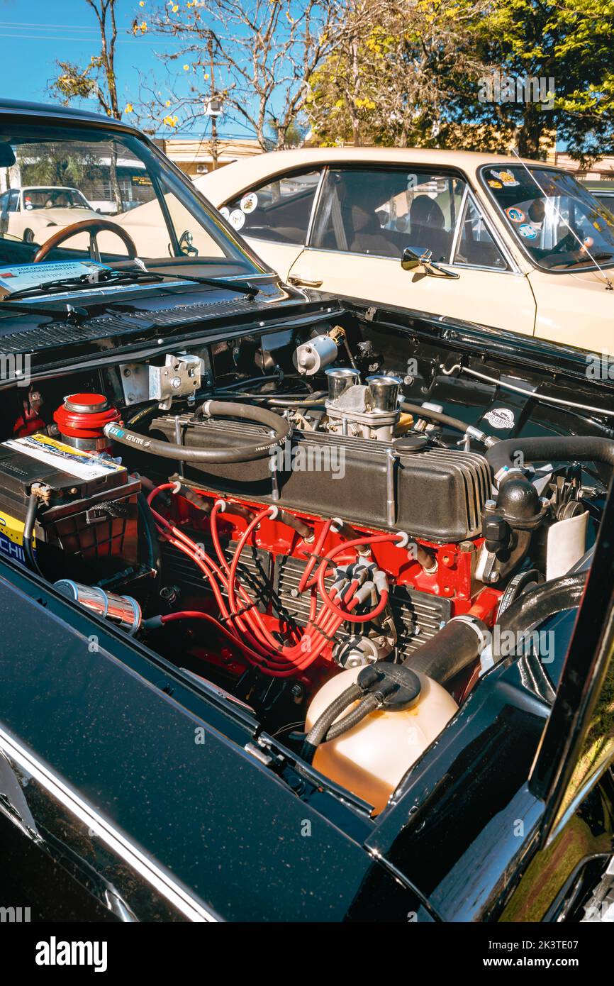 Motor of vehicle GM Opala Comodoro 1975 on display at vintage car fair. Stock Photo