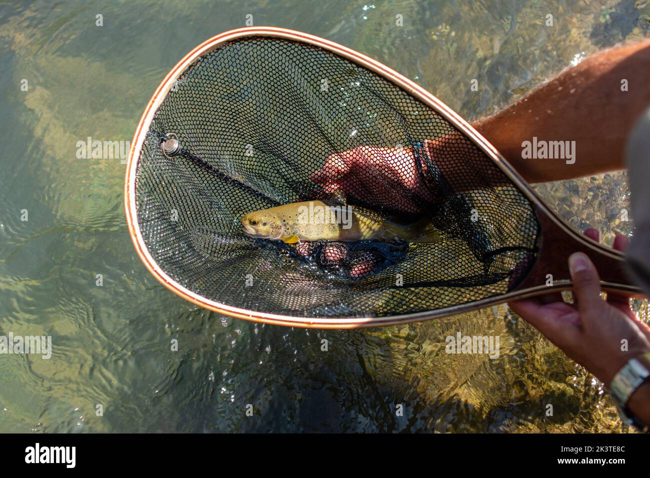 Man catching a fish hi-res stock photography and images - Page 10 - Alamy