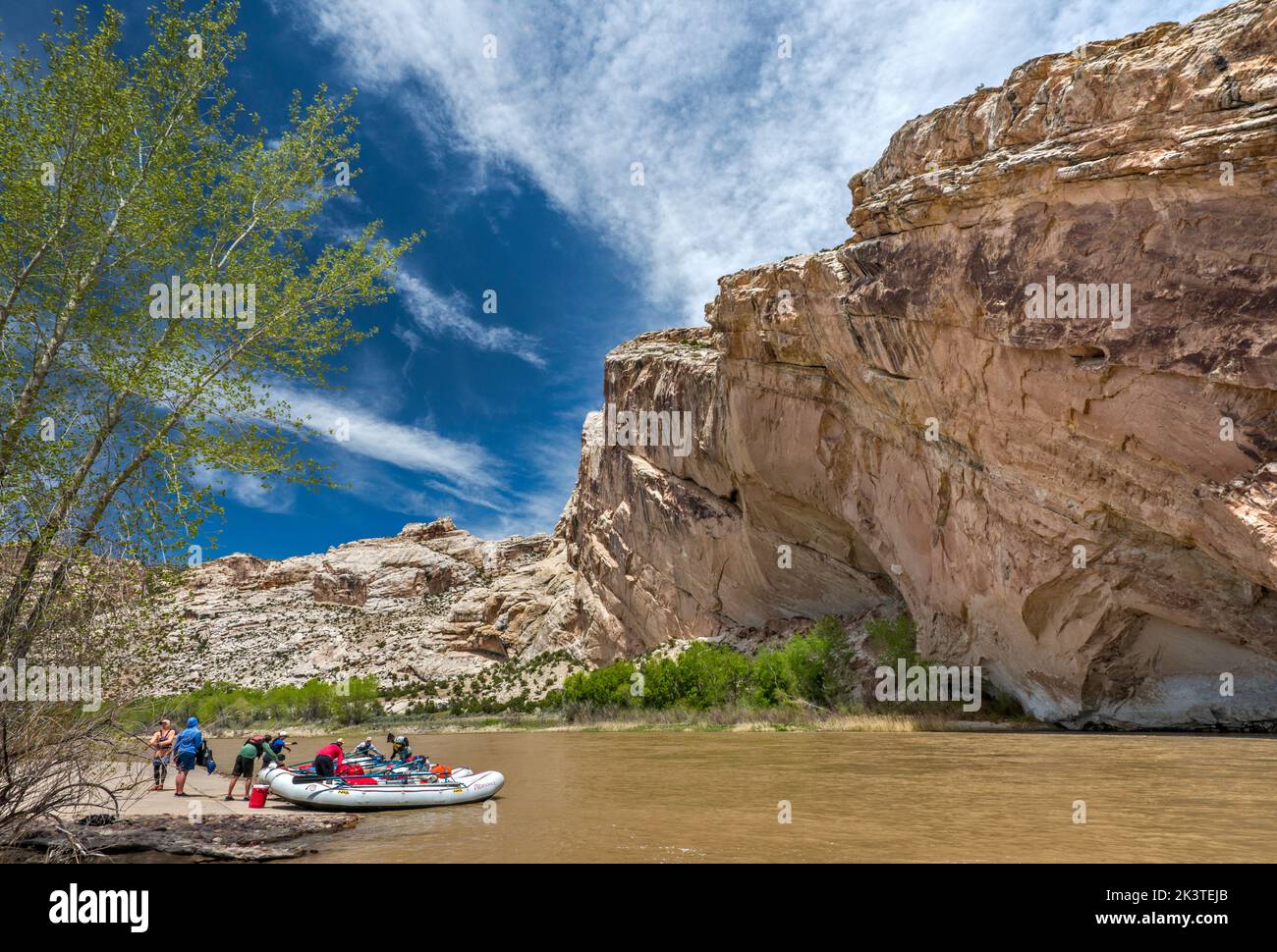 Rafts at Green River boat landing, cottonwood tree, Split Mountain anticline, Weber Sandstone formation, Dinosaur National Monument, Utah, USA Stock Photo