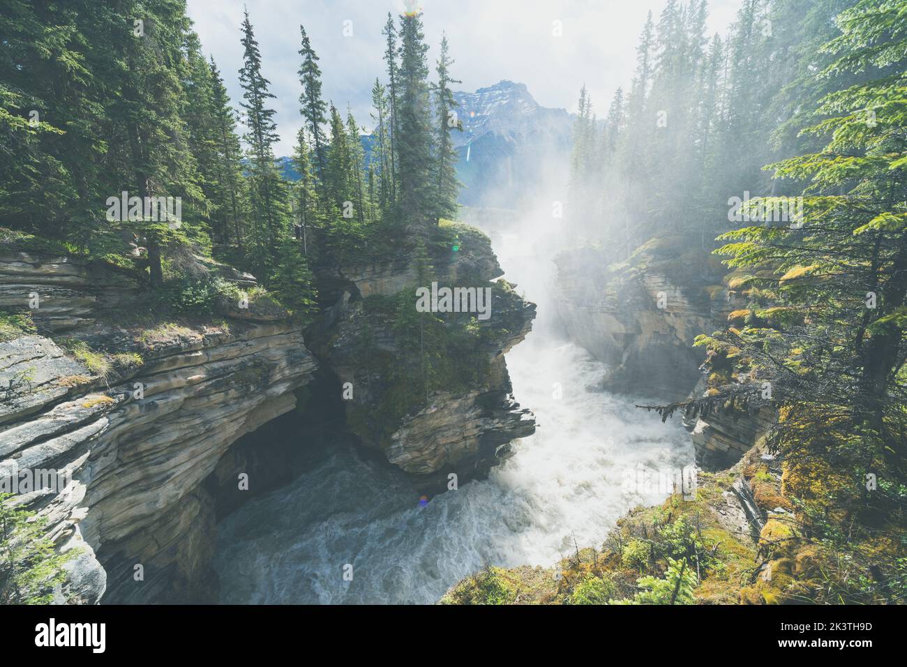 Very misty morning view of Athabasca Falls waterfall in Jasper National Park Canada Stock Photo