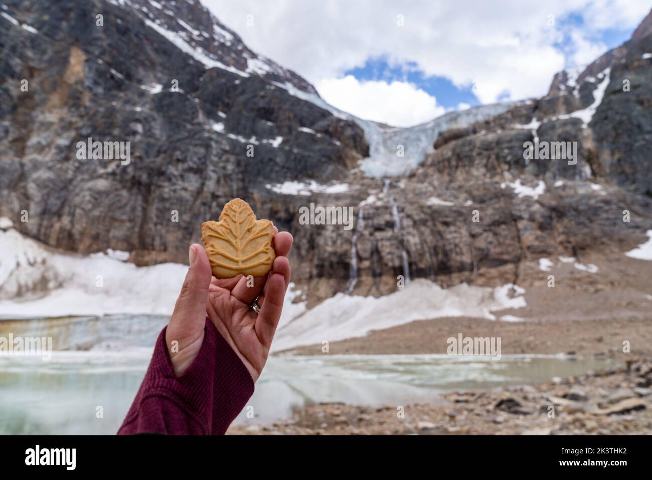 Hand holds up an iconic maple leaf cream cookie while exploring Mt. Edith Cavell and Angel Glacier Stock Photo