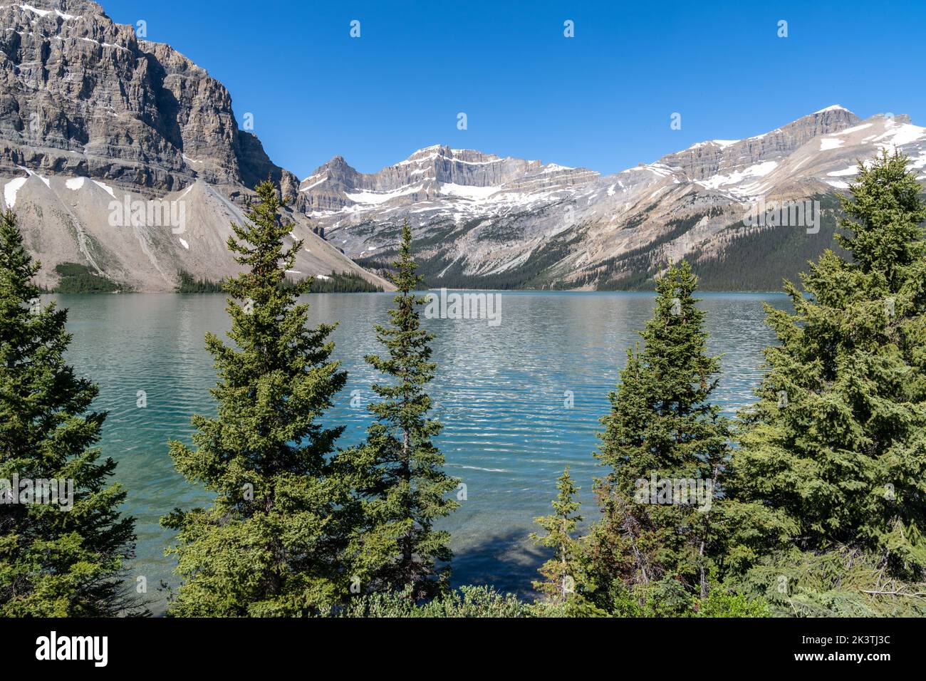 Mountain scenery near Bow Lake along the Icefields Parkway in Banff National Park Canada Stock Photo