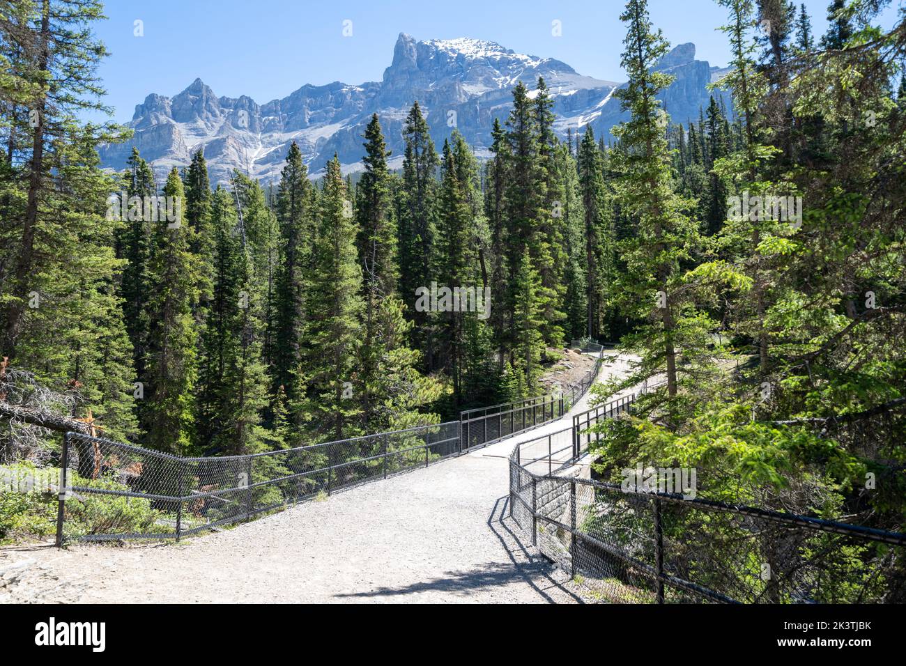 Hiking trail to Mistaya Canyon in Jasper National Park in summer Stock Photo