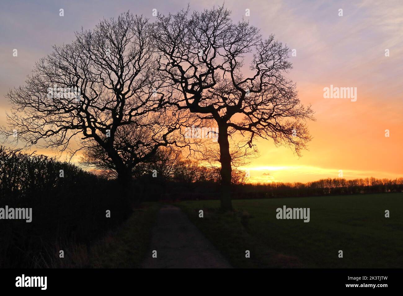 Winter sunset behind trees in Grappenhall, Warrington, Cheshire, England, UK, WA4 Stock Photo