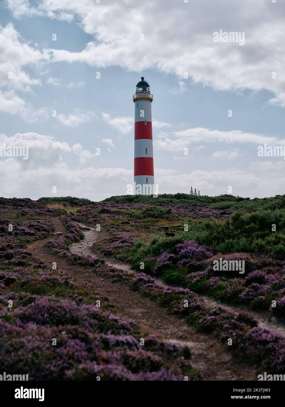 Tarbat Ness Lighthouse and path through summer heather, Tarbat Ness, Tain & Easter Ross, Cromartyshire, Scotland UK Stock Photo