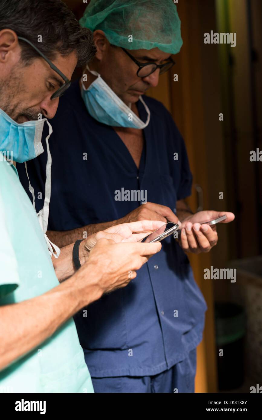 Surgeons using smartphones together Stock Photo