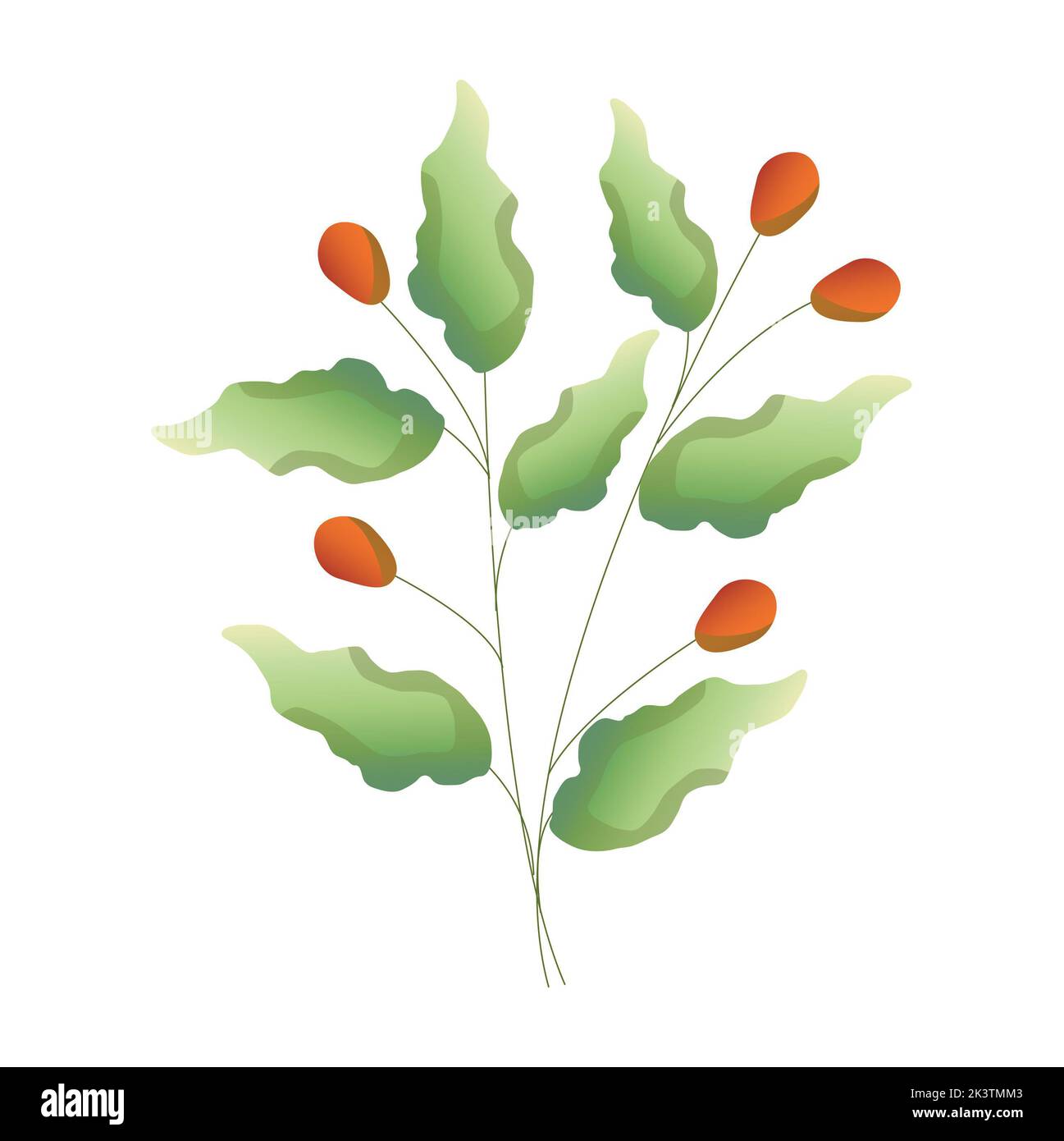 Hand drawn set of colorful coffee tree branches and beans. Vector ...