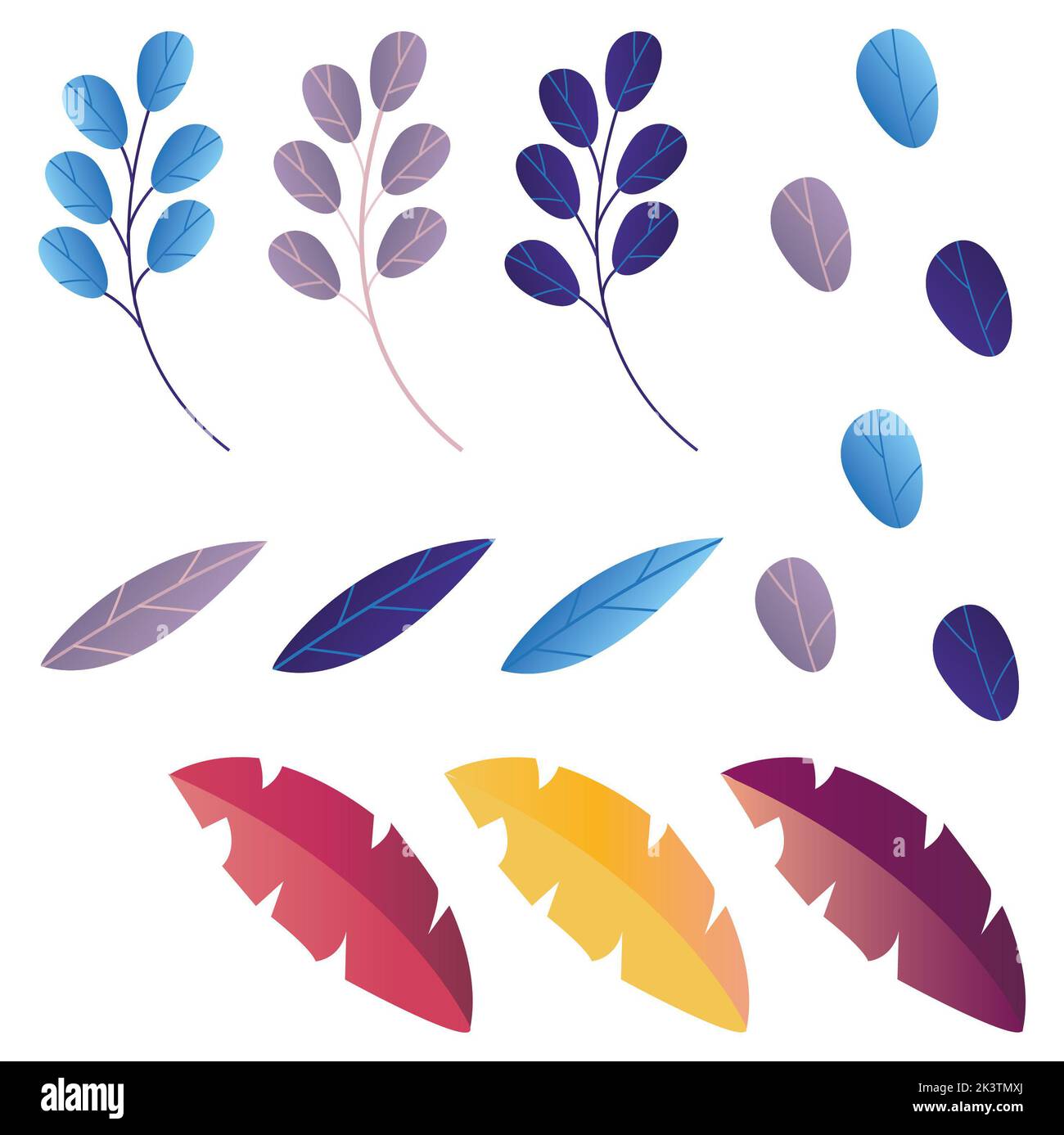 Set of tropical leaves and flowers isolated on white background Stock ...