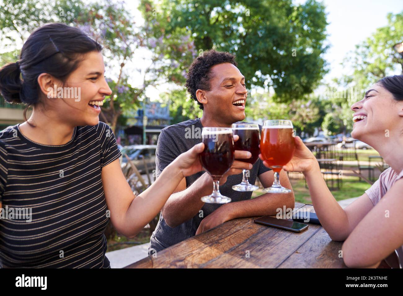 Mid-shot of ethnically diverse group of friends celebrating and making a toast while drinking homebrewed beer Stock Photo