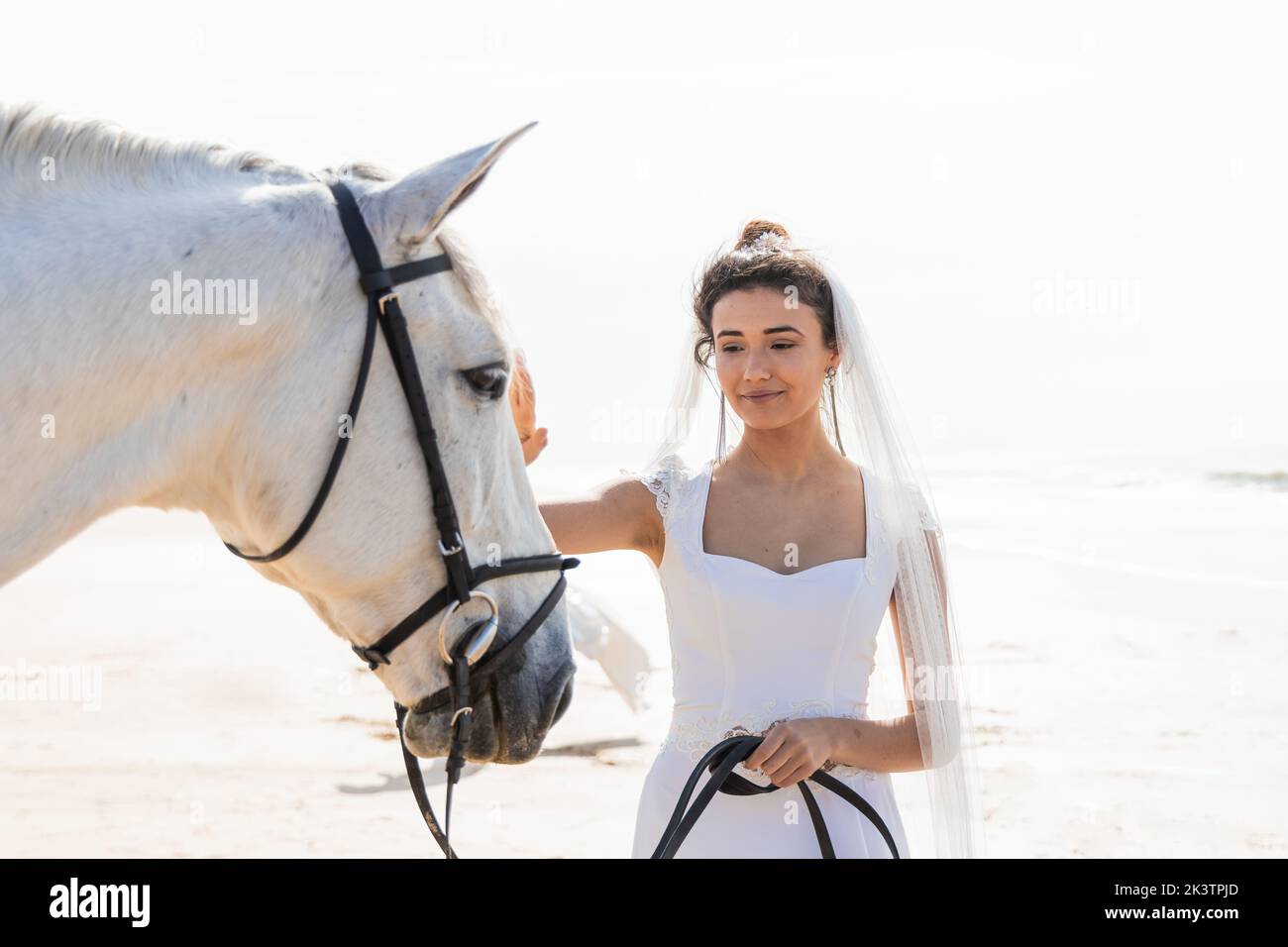 Woman in white dress leading purebred mare by reins while looking at each other on sandy ocean shore Stock Photo