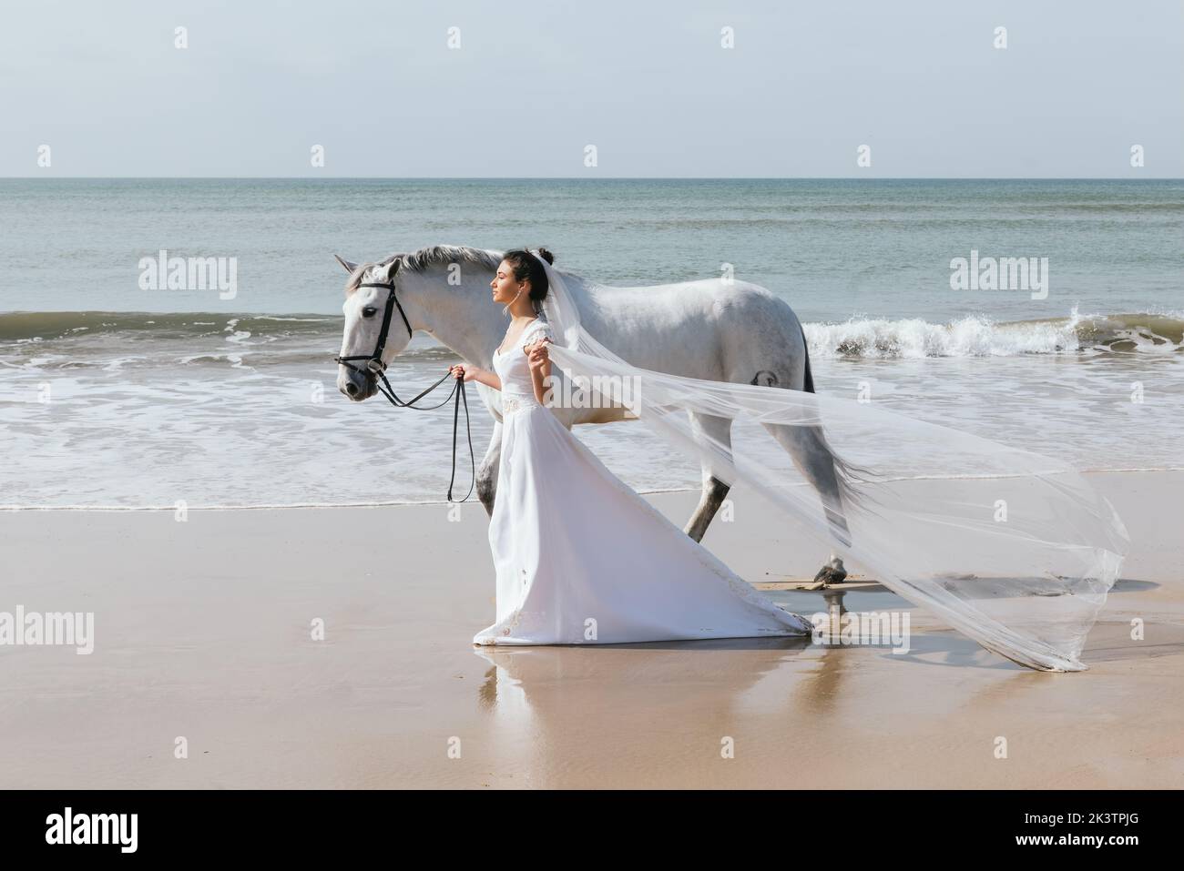 Side view of serene woman in white dress leading purebred mare by reins while looking away walking along sandy ocean shore Stock Photo