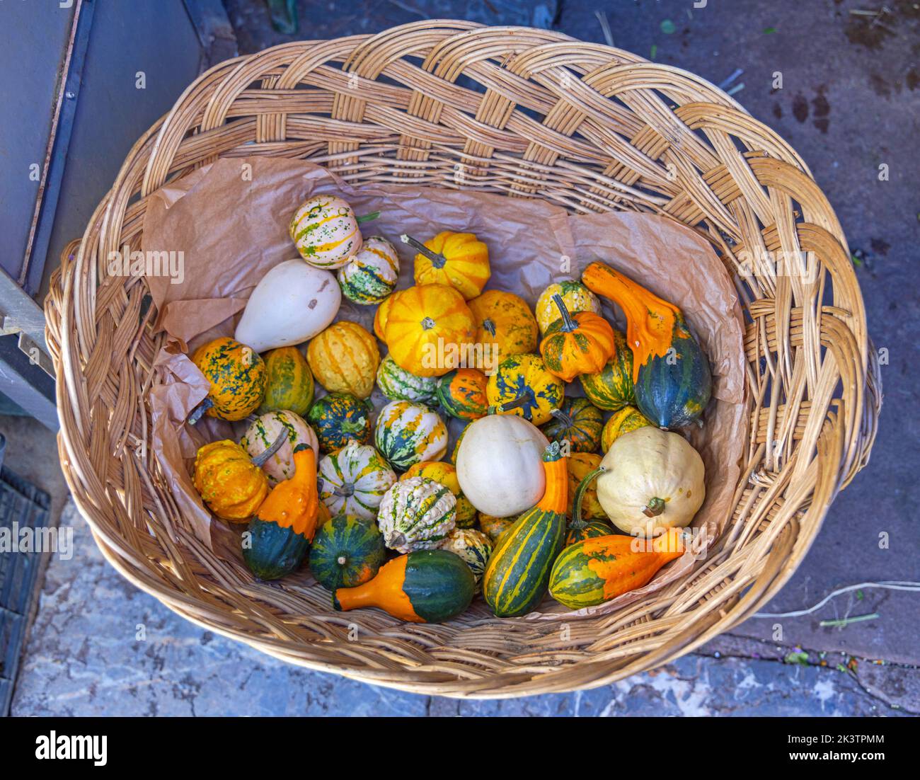 Many Miniature Gourds and Pumpkins Produce in Basket Stock Photo