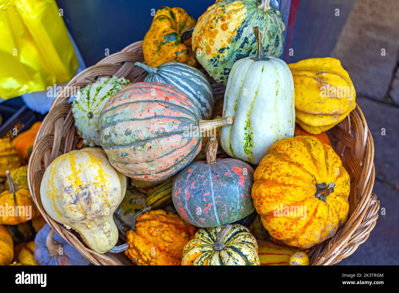 Pumpkins and Gourds in Basket Farmers Market Autumn Season Stock Photo