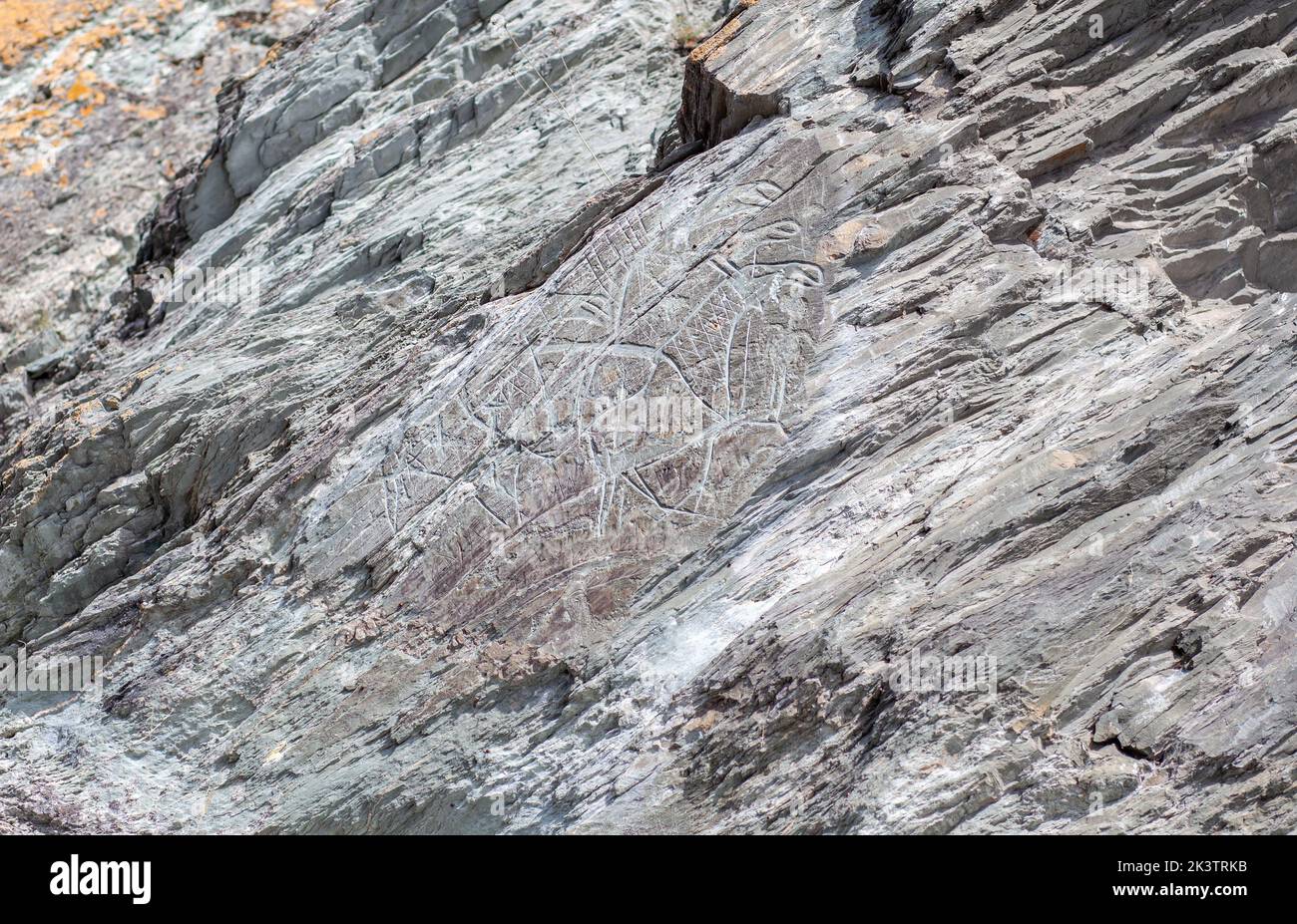 Old rock carvings of an ancient man on rocks in Siberia. The drawings ...