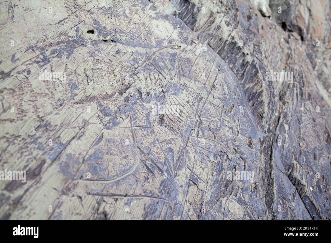 Old rock carvings of an ancient man on rocks in Siberia. The drawings ...