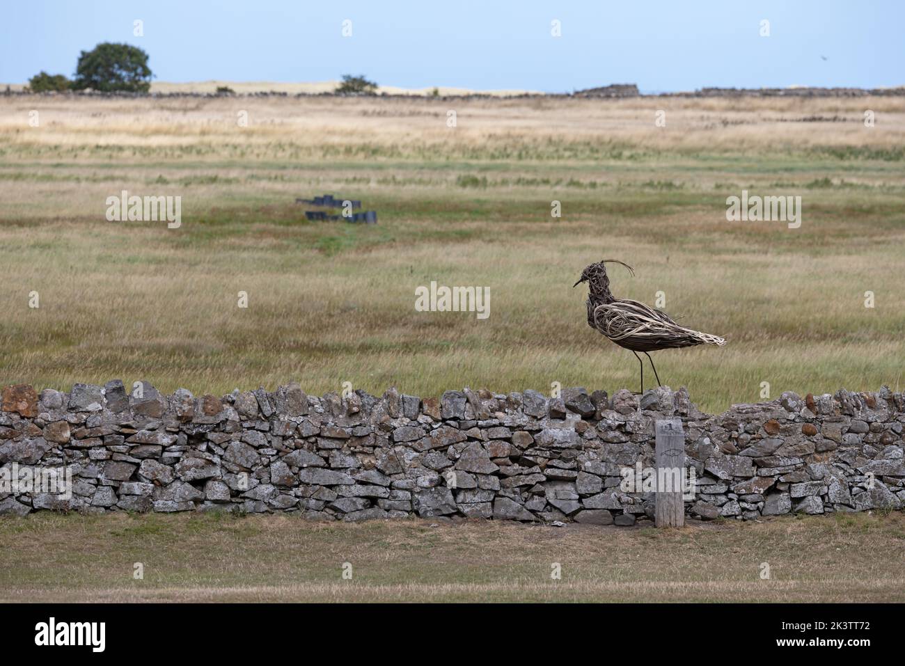 Lapwing (Vanellus vanellus) sculpture Northumberland UK GB August 2022 Stock Photo