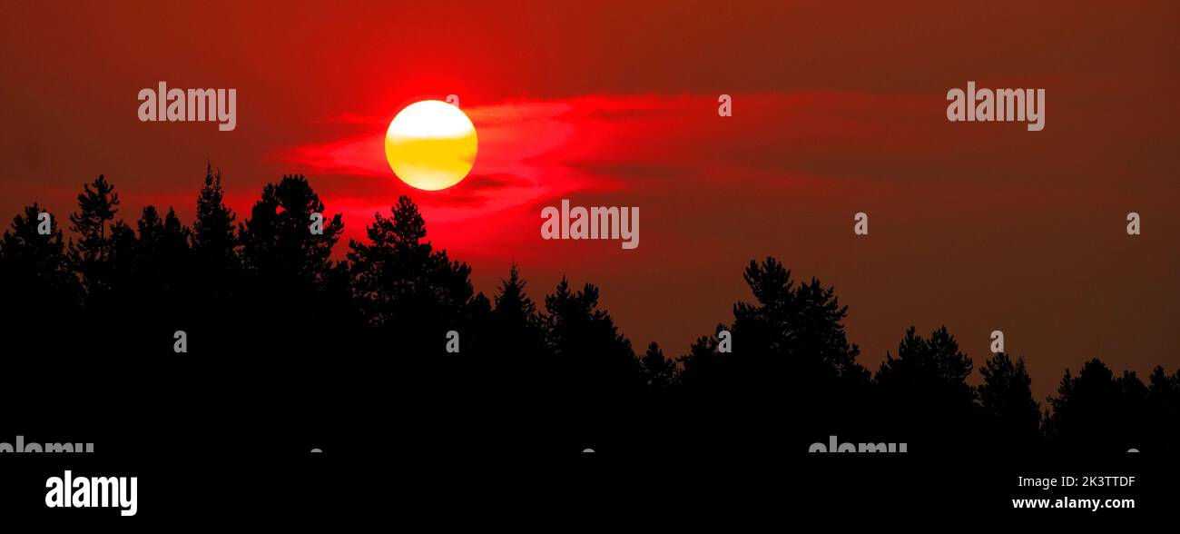 Sun setting over pine trees in wilderness forest peaceful nature silhouette Stock Photo