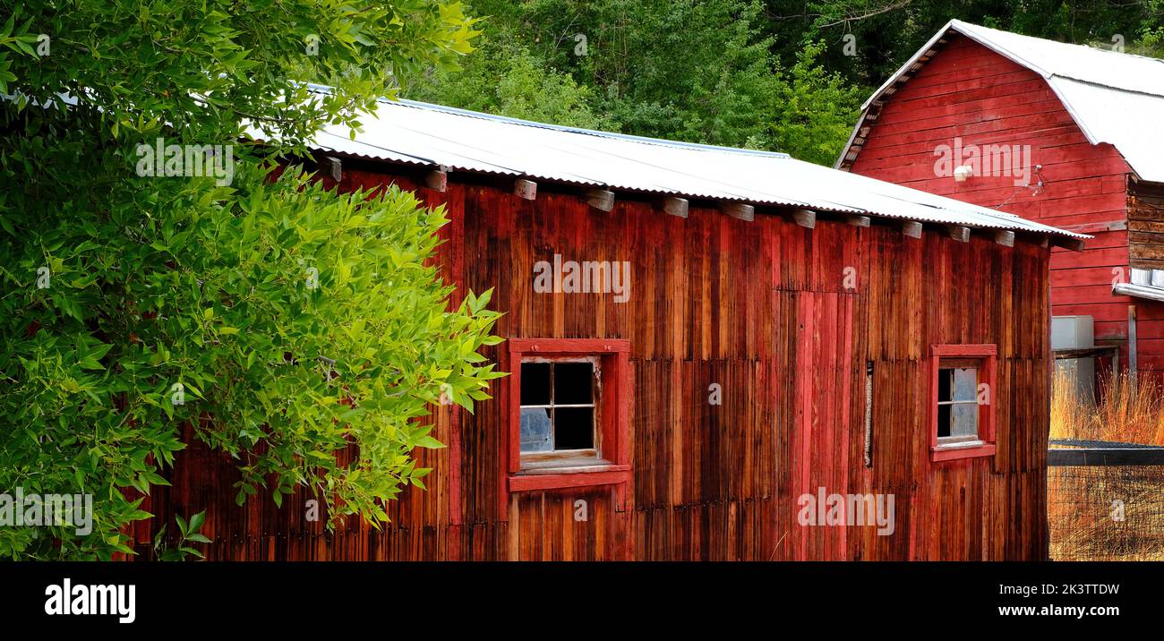 Detail of old weathered wooden barn wall with red paint windows and ...