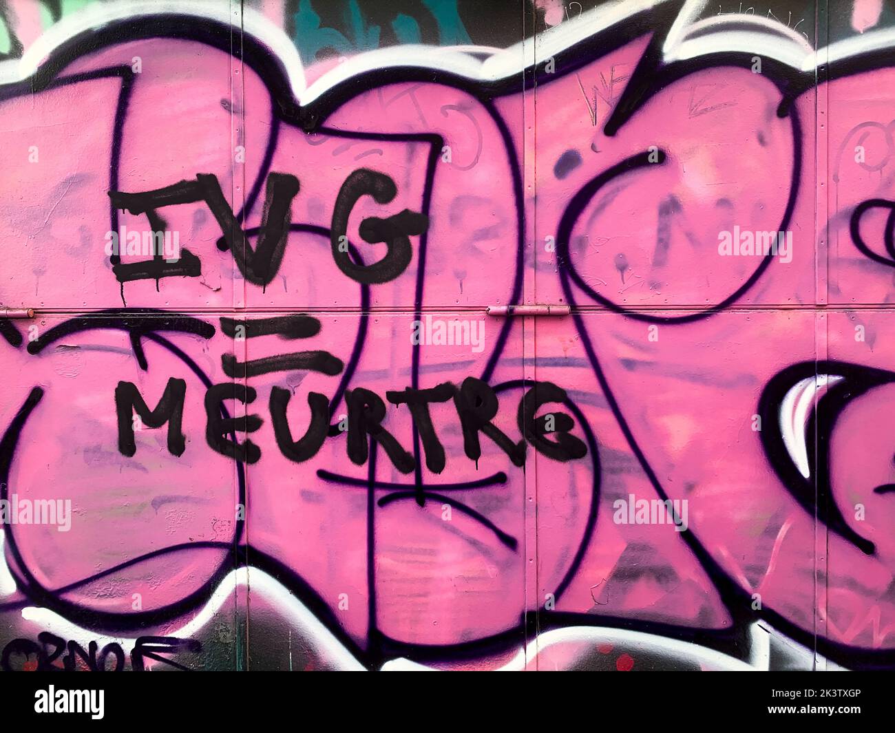 Anti-IVG graffiti, Lyon, France Stock Photo