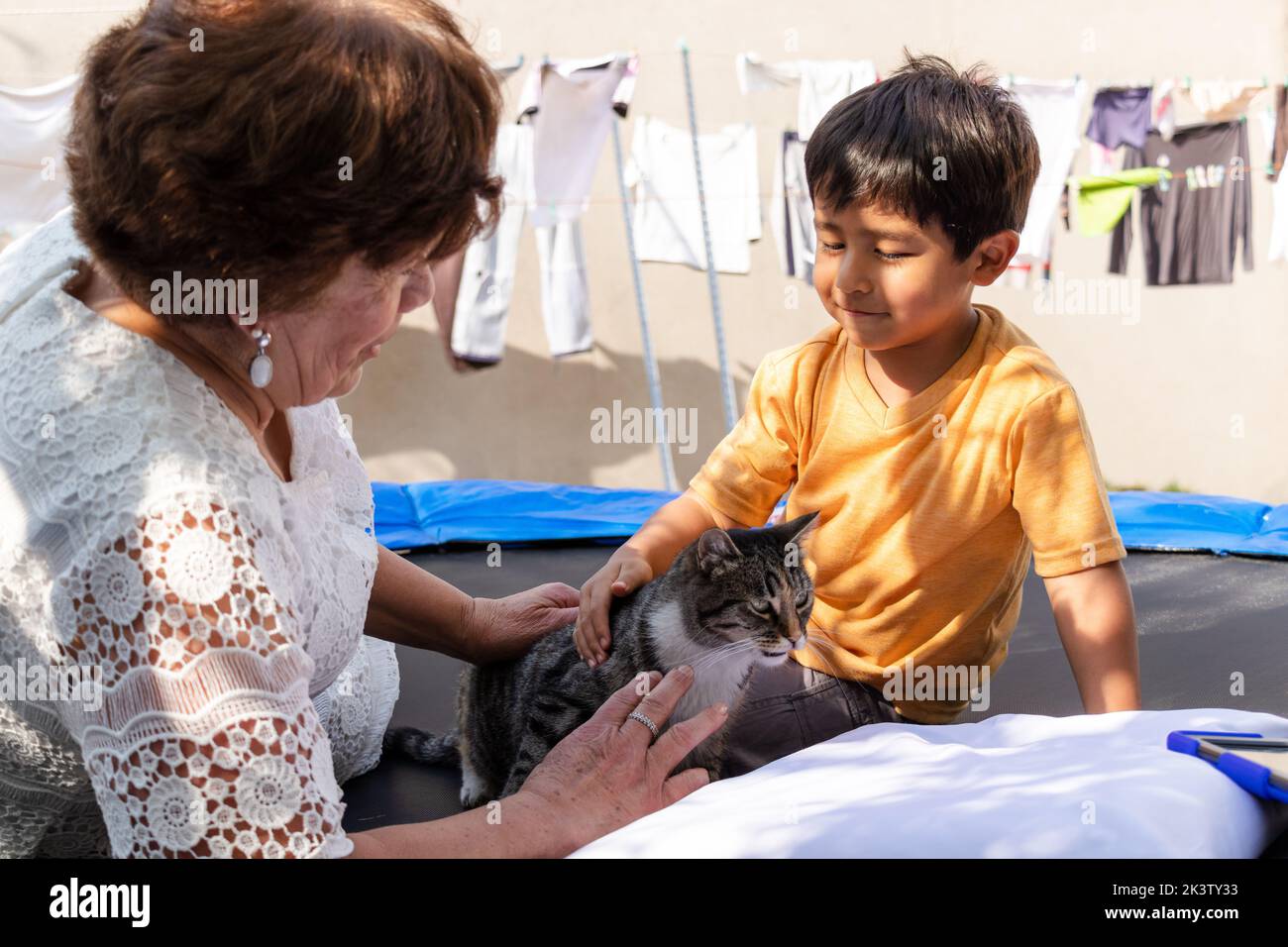 Gentle boy with cat hi-res stock photography and images - Alamy