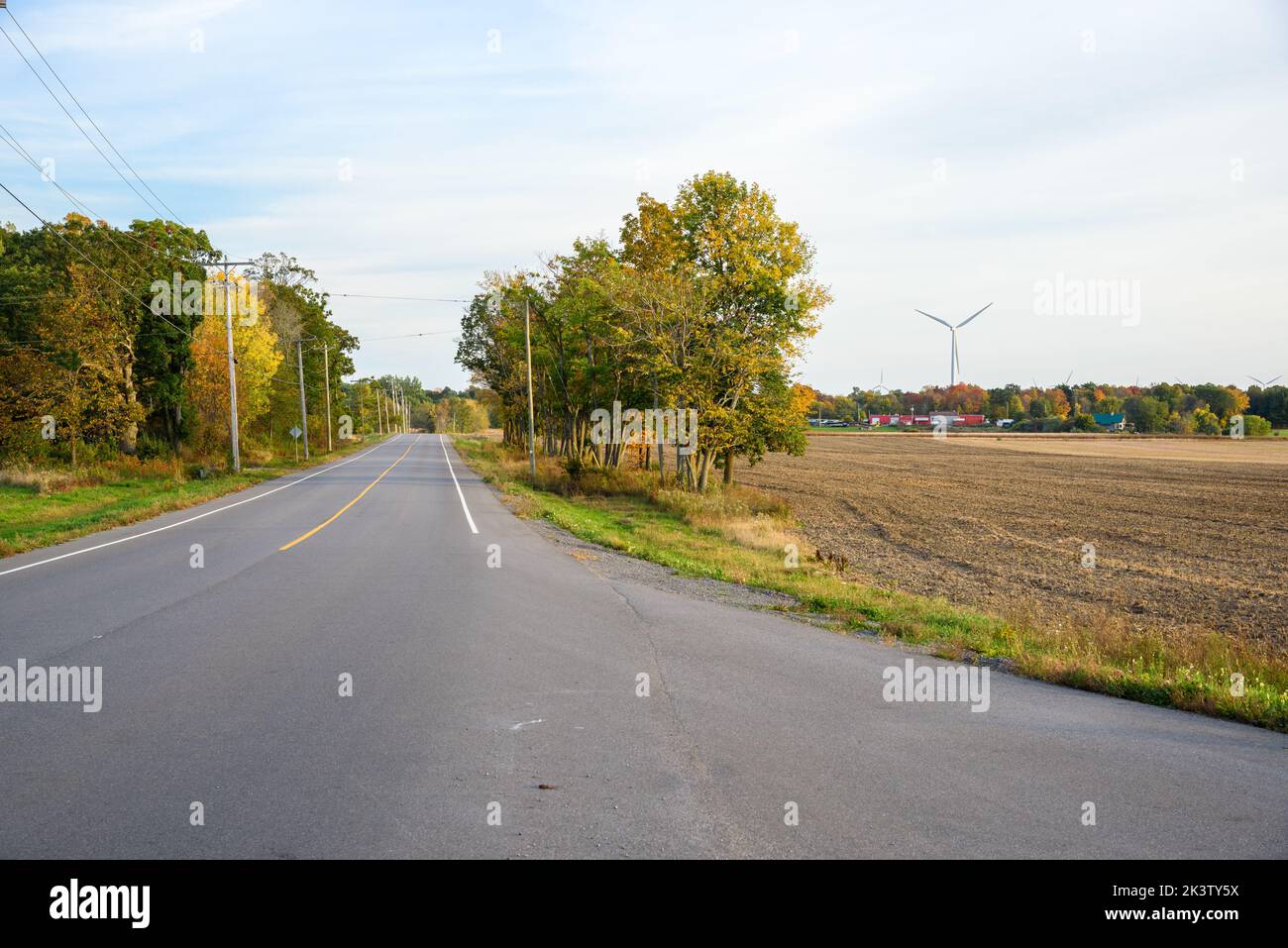 Deseerted tree lined country road on a partly cloudy autumn day. Wind turbines are visible in background. Stock Photo
