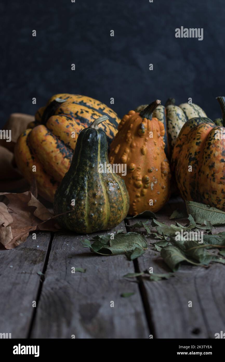 Assorted rustic pumpkins on dark wooden table Stock Photo