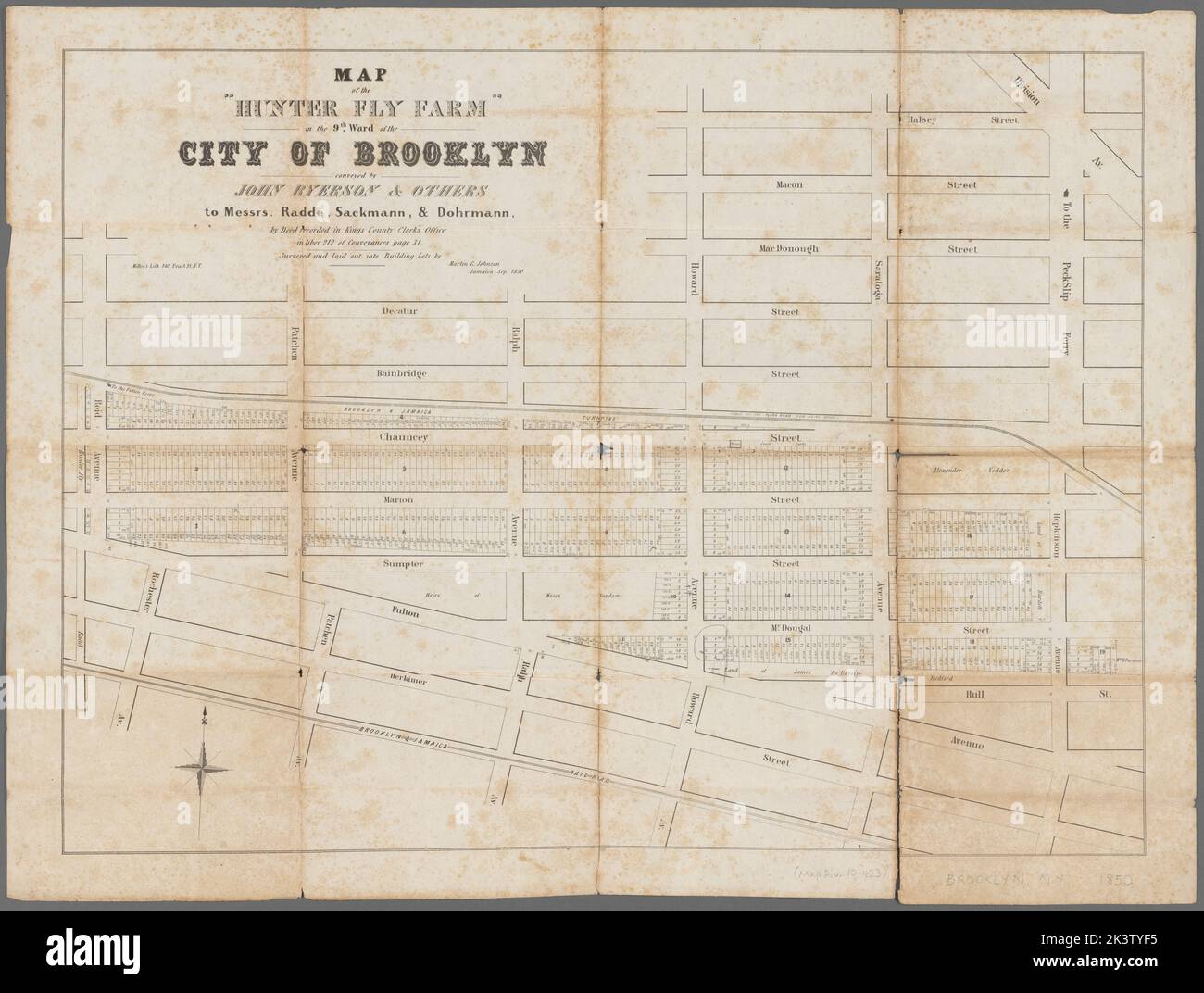 Map of the "Hunter Fly Farm" in the 9th ward of the city of Brooklyn