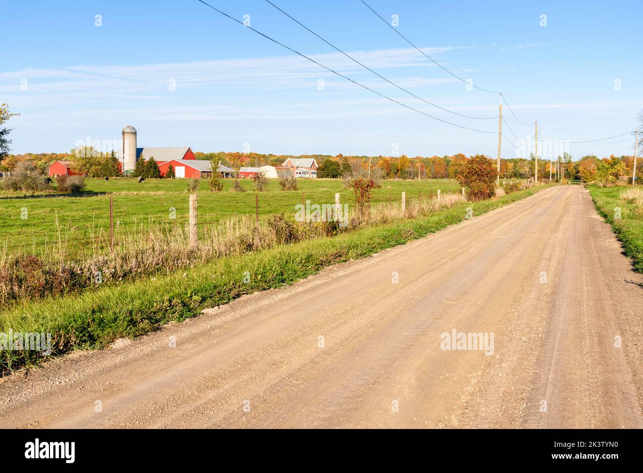 Farm along an unpaved road to a forest at the peak of fall folige on a clear autumn day Stock Photo