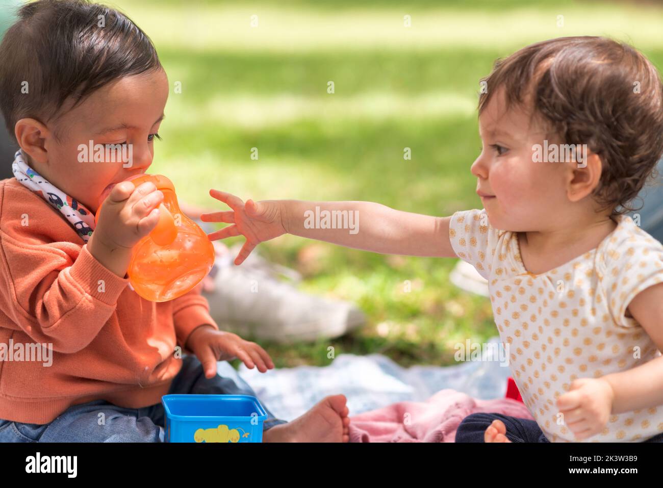 Cute little girl taking away feeding bottle with water from hands of boy while sitting on plaid in park Stock Photo