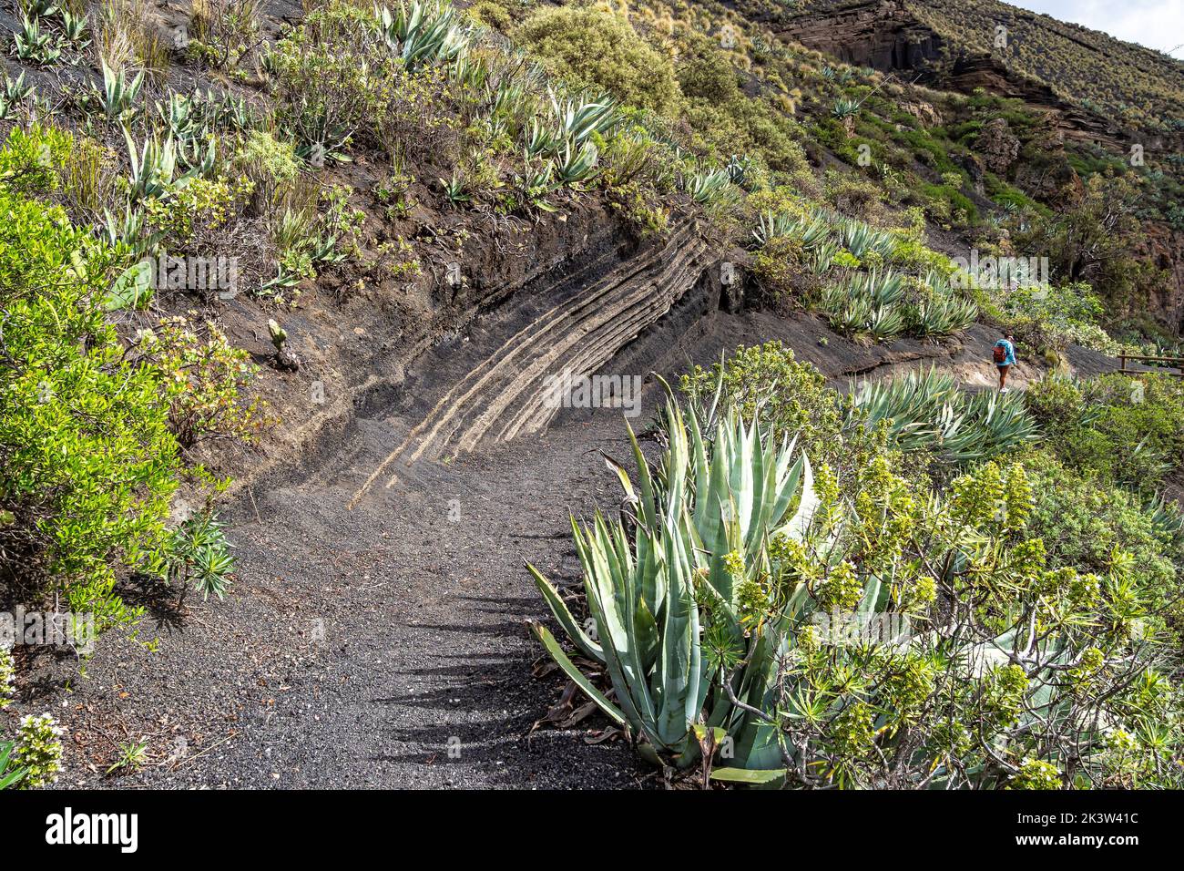 Volcanic landscape of Caldera de Bandama crater with circular hiking trail. Gran Canaria, Spain in Europe Stock Photo