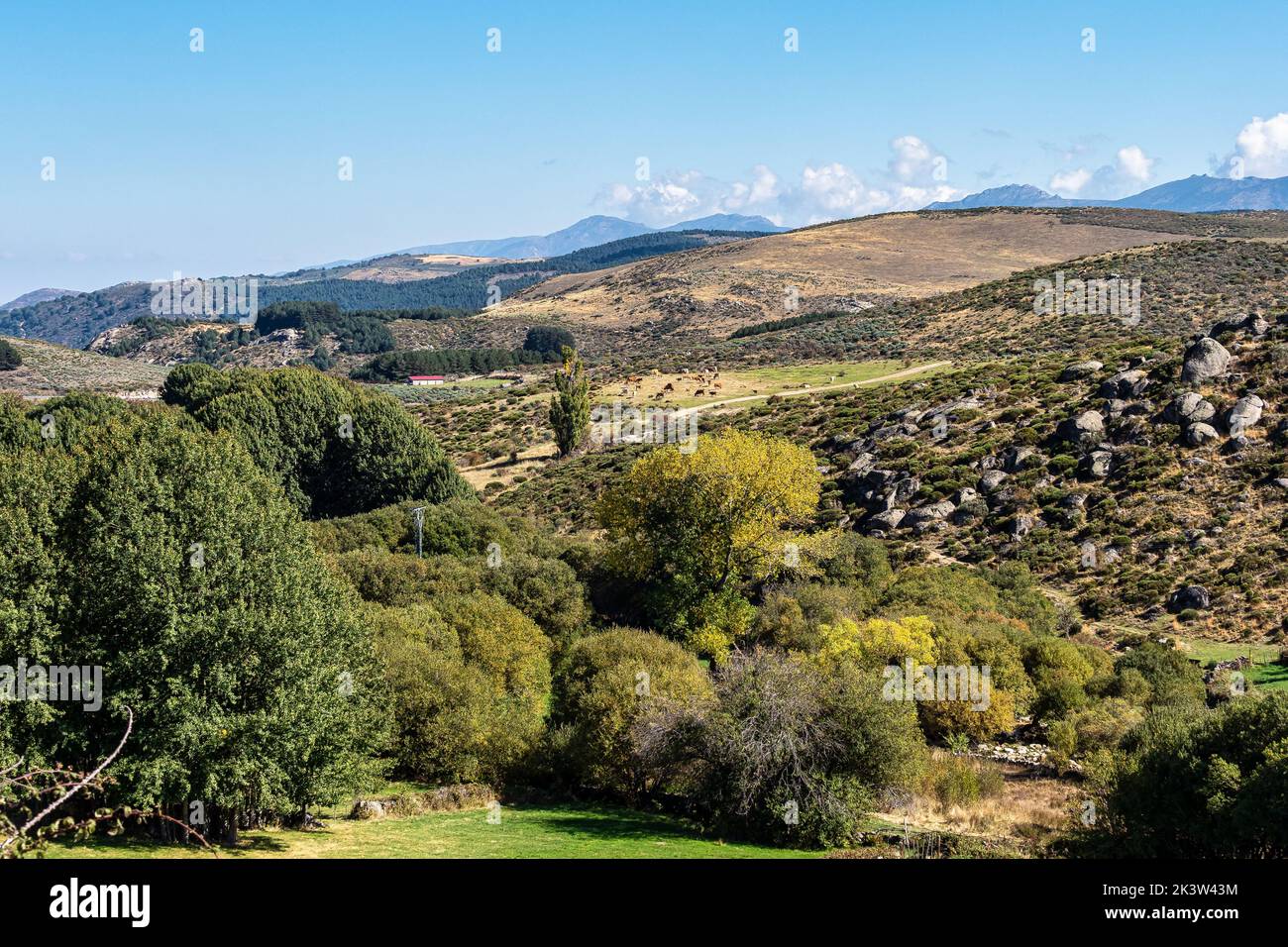 Landscape view near San Martin del Pimpollar. Castile and Leon, Spain in Europe Stock Photo