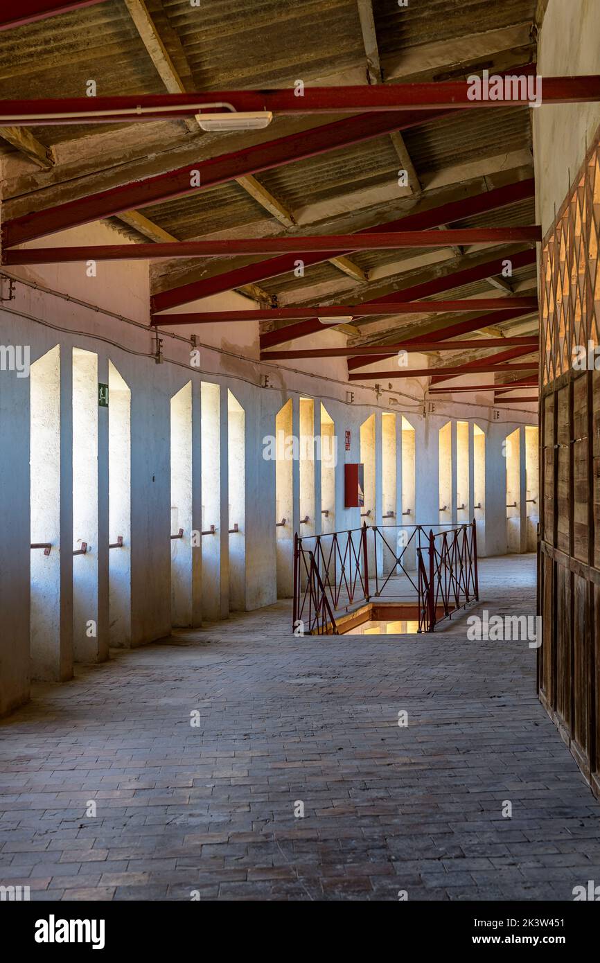 Bullring in Murcia, Spain - The Plaza de Toros de Murcia - Plaza de Toros de La Condomina.  For bloody bull fighting. Built 1887, holds 15,000 people. Stock Photo