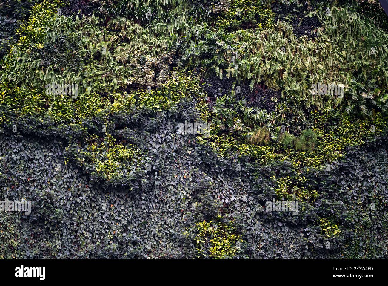Aerial view garden trees hi-res stock photography and images - Alamy
