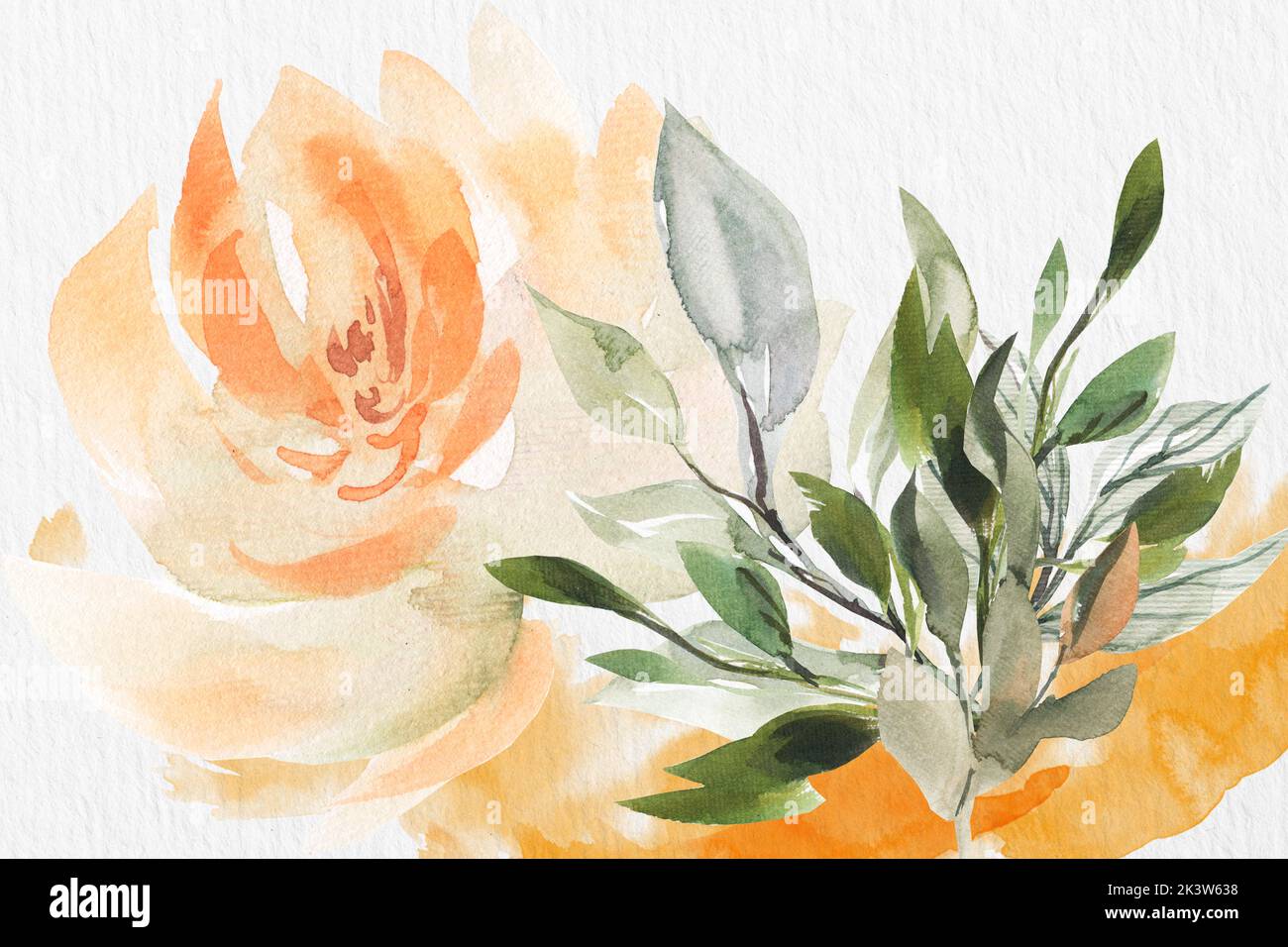watercolor paper background texture. floral border background in green ...
